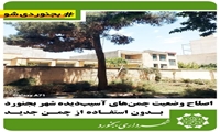 قطع دو اصله درخت کاج در خیابان طالقانی غربی بجنورد با مجوز کمیسیون ماده ۷